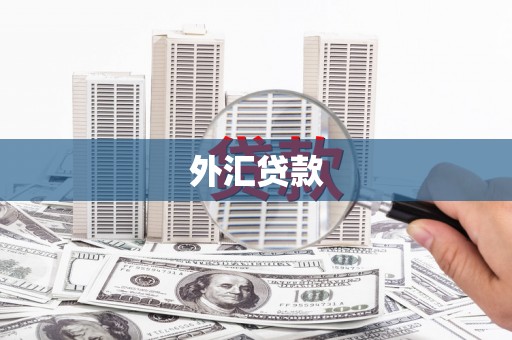 怀集外汇贷款