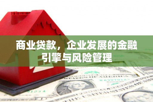 怀集商业贷款，企业发展的金融引擎与风险管理