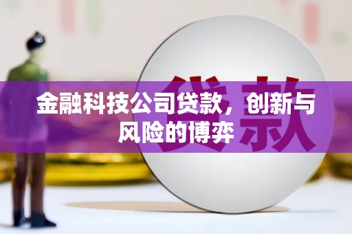 怀集金融科技公司贷款，创新与风险的博弈