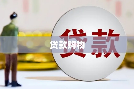 怀集贷款购物