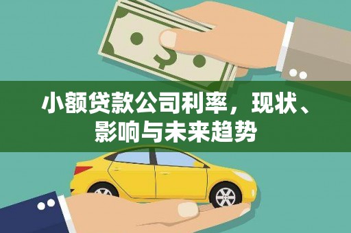 怀集小额贷款公司利率，现状、影响与未来趋势