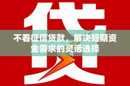 怀集不看征信贷款，解决短期资金需求的灵活选择