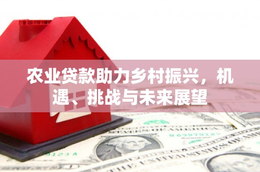 怀集农业贷款助力乡村振兴，机遇、挑战与未来展望