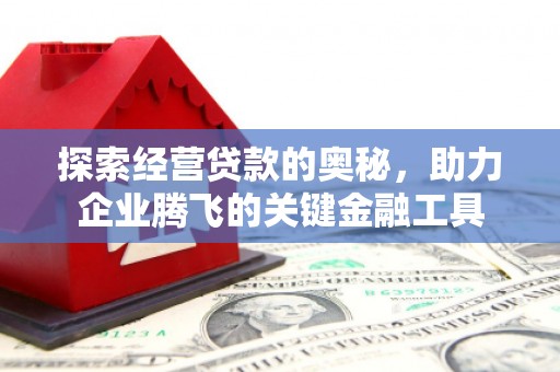 怀集探索经营贷款的奥秘，助力企业腾飞的关键金融工具