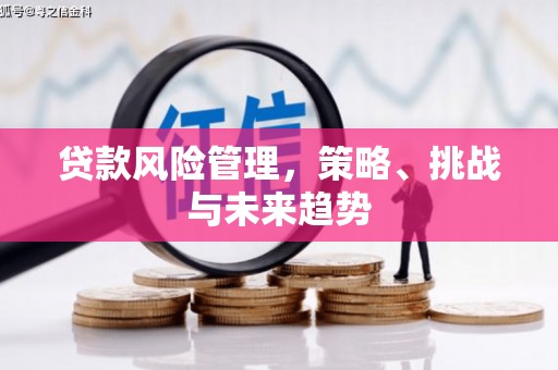 怀集贷款风险管理，策略、挑战与未来趋势