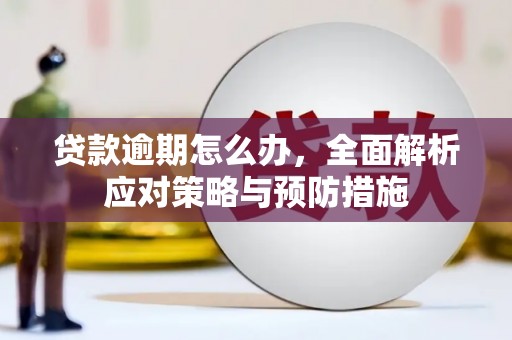 怀集贷款逾期怎么办，全面解析应对策略与预防措施