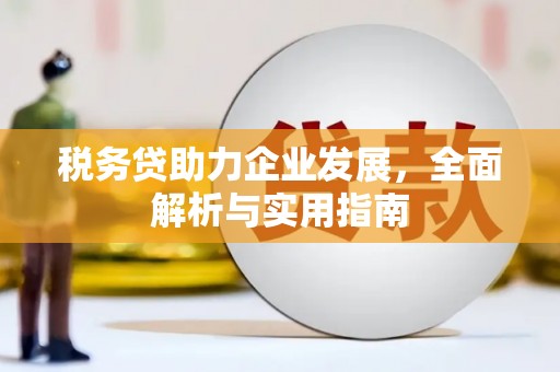 怀集税务贷助力企业发展，全面解析与实用指南