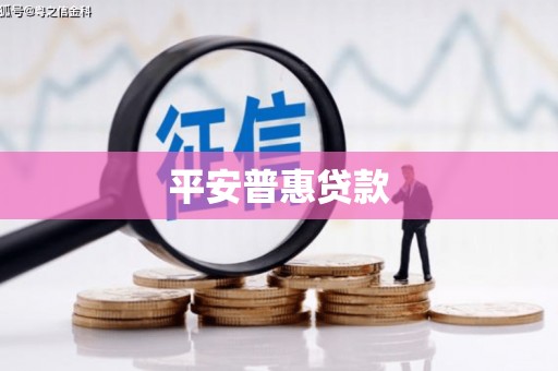 怀集平安普惠贷款