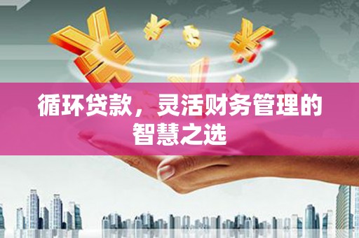 怀集循环贷款，灵活财务管理的智慧之选