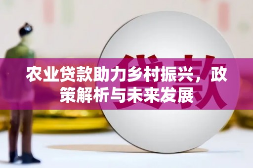 怀集农业贷款助力乡村振兴，政策解析与未来发展