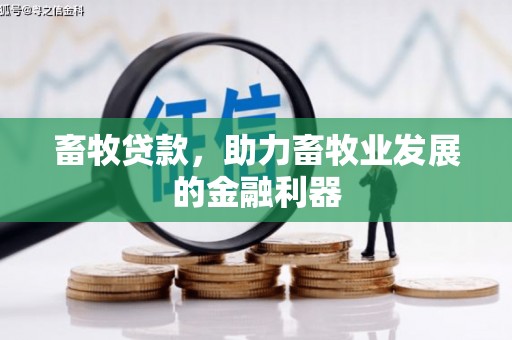 怀集畜牧贷款，助力畜牧业发展的金融利器