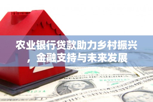 怀集农业银行贷款助力乡村振兴，金融支持与未来发展