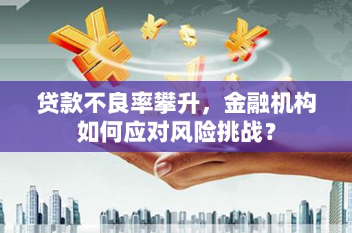 怀集贷款不良率攀升，金融机构如何应对风险挑战？