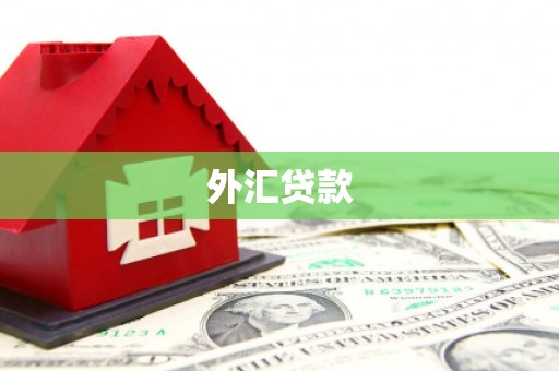怀集外汇贷款