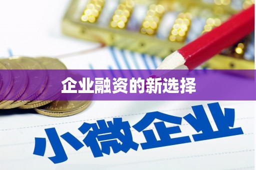 怀集企业融资的新选择