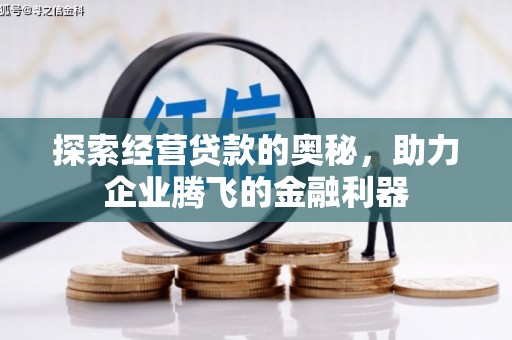 怀集探索经营贷款的奥秘，助力企业腾飞的金融利器