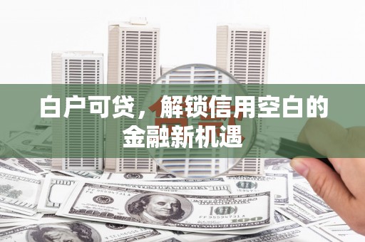 怀集白户可贷，解锁信用空白的金融新机遇