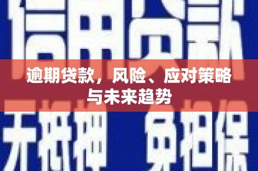 怀集逾期贷款，风险、应对策略与未来趋势