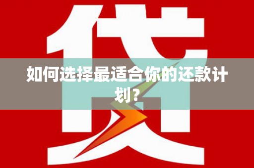 怀集如何选择最适合你的还款计划？