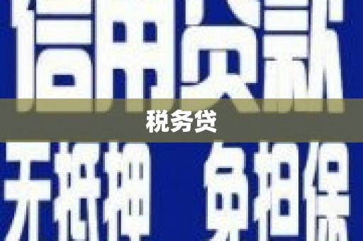 怀集税务贷