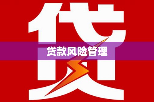 怀集贷款风险管理
