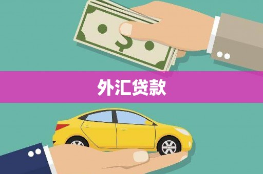 怀集外汇贷款