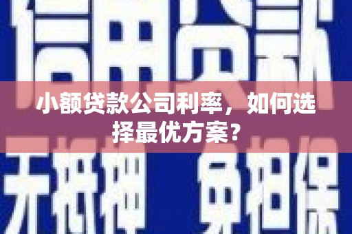 怀集小额贷款公司利率，如何选择最优方案？