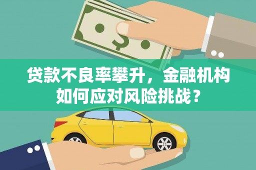 怀集贷款不良率攀升，金融机构如何应对风险挑战？