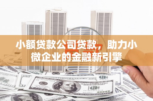 怀集小额贷款公司贷款，助力小微企业的金融新引擎
