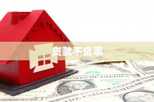 怀集贷款不良率