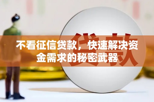 怀集不看征信贷款，快速解决资金需求的秘密武器