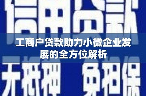 怀集工商户贷款助力小微企业发展的全方位解析
