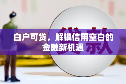 怀集白户可贷，解锁信用空白的金融新机遇