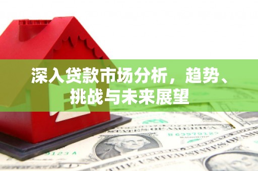 怀集深入贷款市场分析，趋势、挑战与未来展望