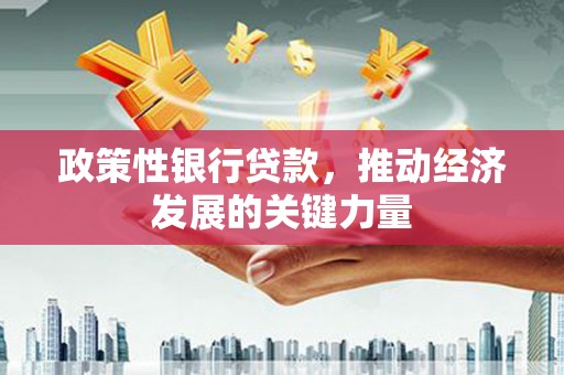 怀集政策性银行贷款，推动经济发展的关键力量