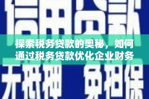 怀集探索税务贷款的奥秘，如何通过税务贷款优化企业财务