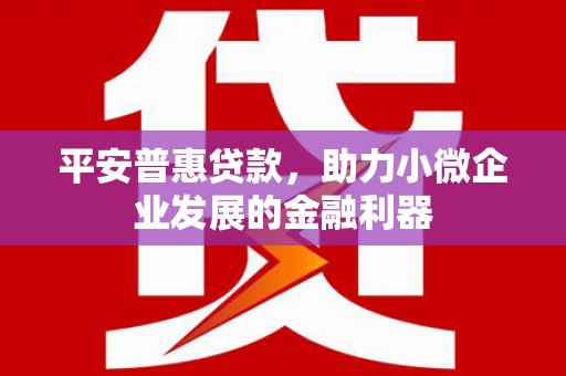 怀集平安普惠贷款，助力小微企业发展的金融利器