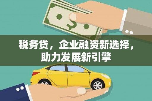 怀集税务贷，企业融资新选择，助力发展新引擎