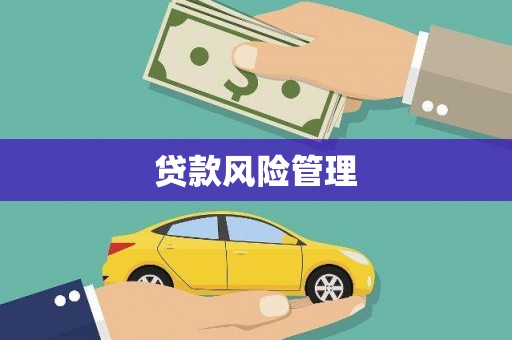怀集贷款风险管理