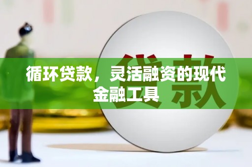 怀集循环贷款，灵活融资的现代金融工具