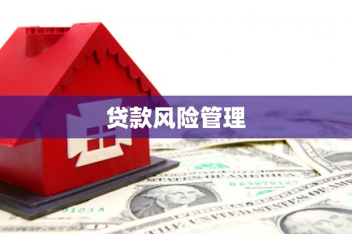 怀集贷款风险管理