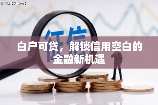 怀集白户可贷，解锁信用空白的金融新机遇