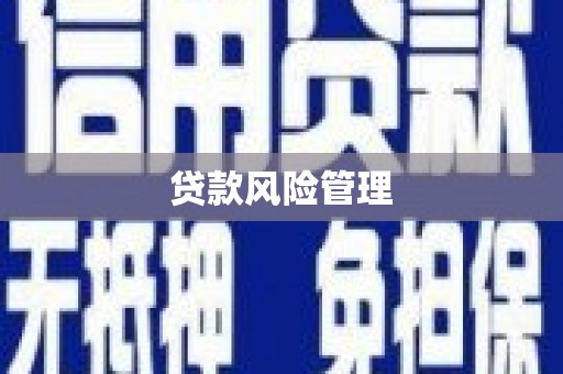 怀集贷款风险管理