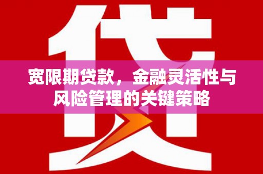 怀集宽限期贷款，金融灵活性与风险管理的关键策略