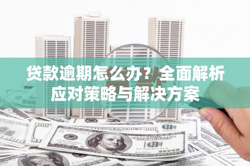 怀集贷款逾期怎么办？全面解析应对策略与解决方案