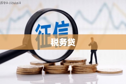 怀集税务贷
