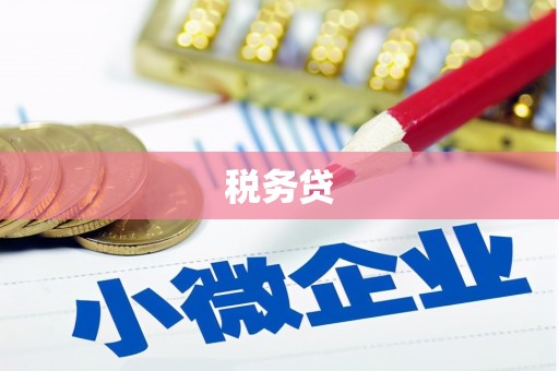 怀集税务贷