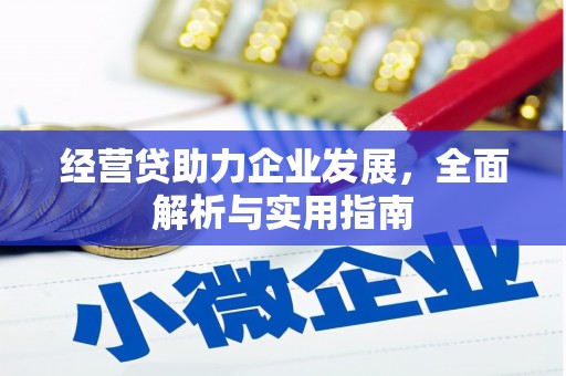 怀集经营贷助力企业发展，全面解析与实用指南