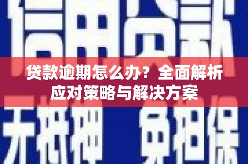 怀集贷款逾期怎么办？全面解析应对策略与解决方案