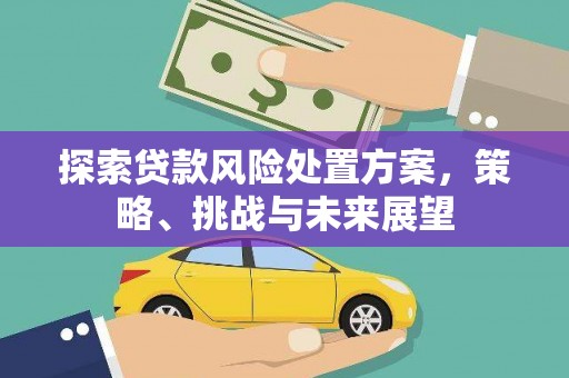 怀集探索贷款风险处置方案，策略、挑战与未来展望